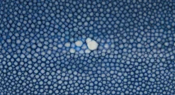 Benson Blue
