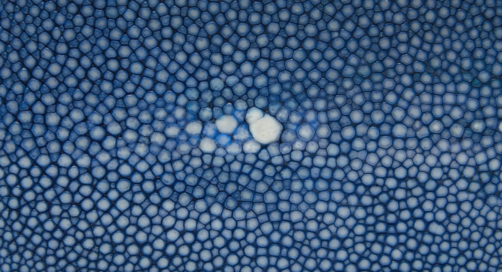 Benson Blue