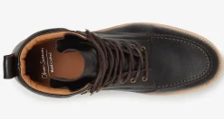 Bolhas Brown