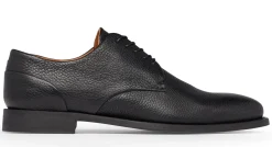 Campobello Black