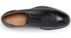 Campobello Black