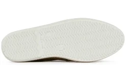 Campomar Khaki