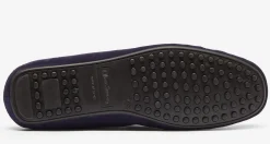 Gomes Navy