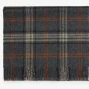 Radnor Charcoal